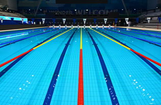 体坛记忆｜福冈世锦赛蝶泳决赛，张雨霏最后5米不换气狂冲，逆袭夺金